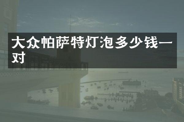 大众帕萨特灯泡多少钱一对