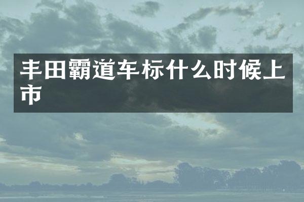 丰田霸道车标什么时候上市