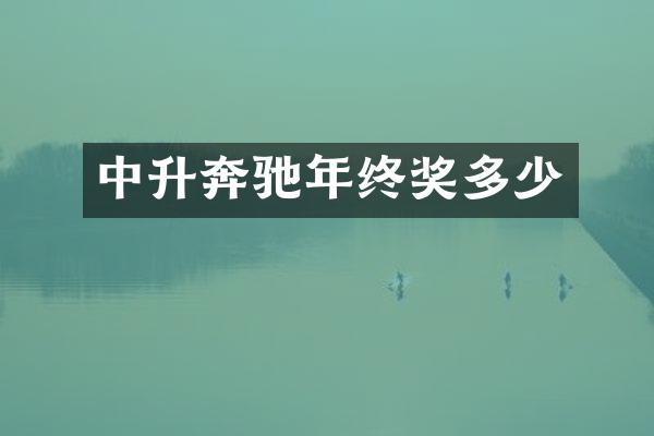 中升奔驰年终奖多少