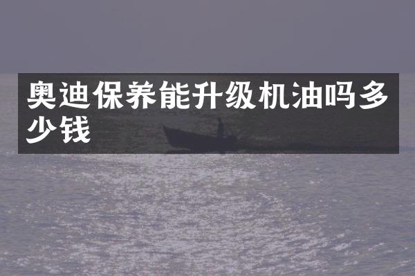 奥迪保养能升级机油吗多少钱