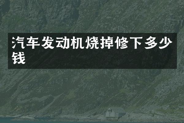 汽车发动机烧掉修下多少钱