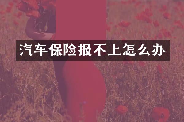 汽车保险报不上怎么办