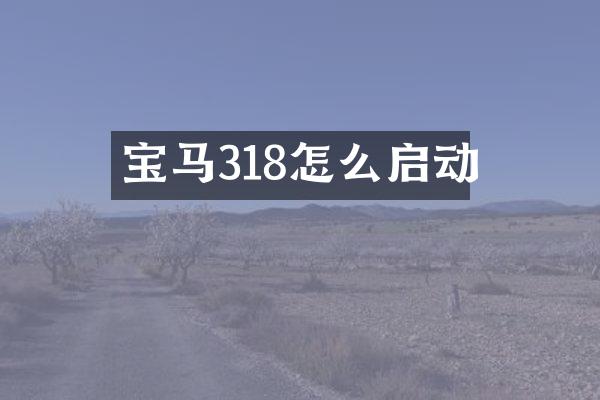 宝马318怎么启动
