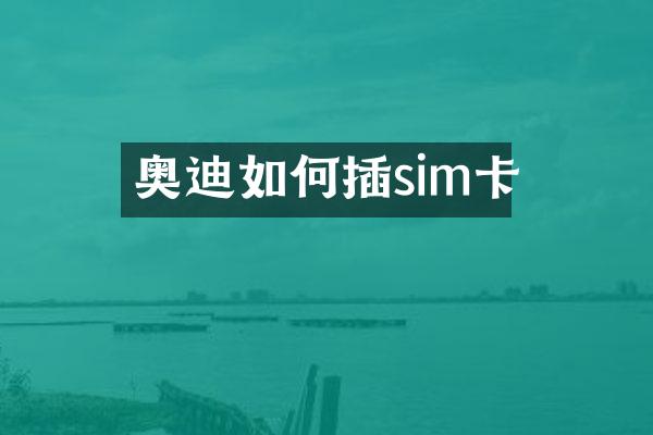奥迪如何插sim卡