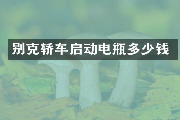 别克轿车启动电瓶多少钱