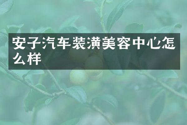 安子汽车装潢美容中心怎么样