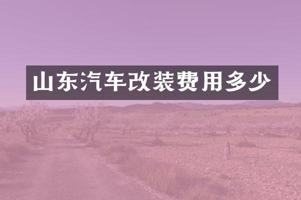 山东汽车改装费用多少