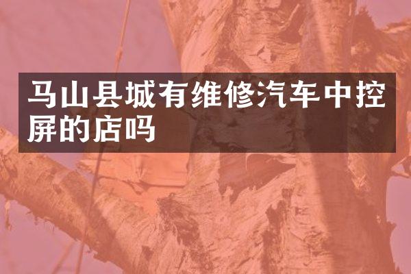 马山县城有维修汽车中控屏的店吗