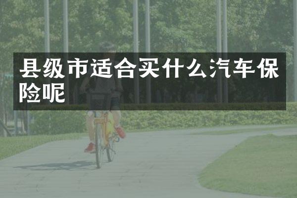 县级市适合汽车保险呢