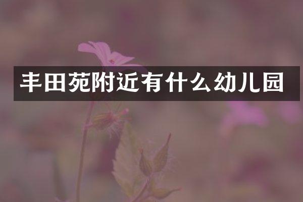 丰田苑附近有什么幼儿园
