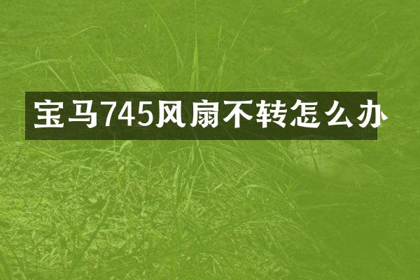 宝马745风扇不转怎么办