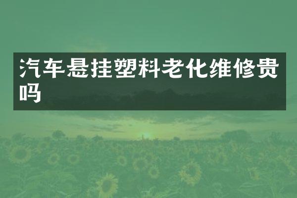 汽车悬挂塑料老化维修贵吗