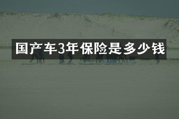 国产车3年保险是多少钱