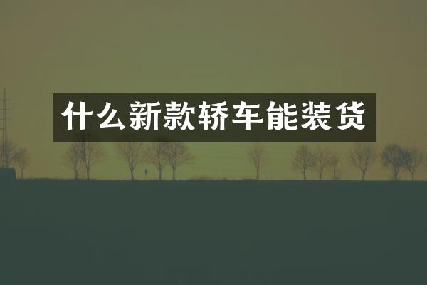 什么新款轿车能装货
