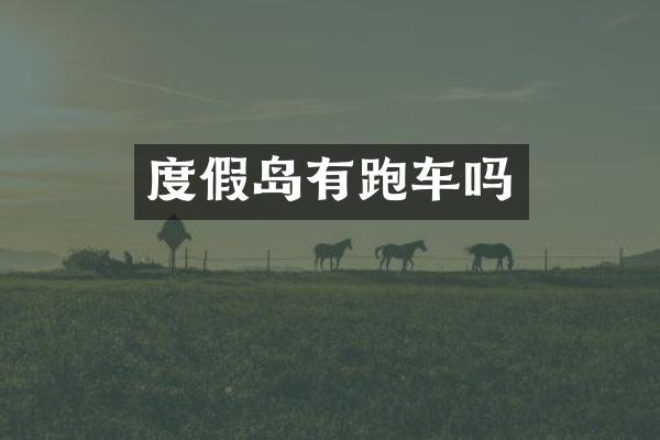 度假岛有跑车吗