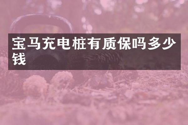 宝马充电桩有质保吗多少钱