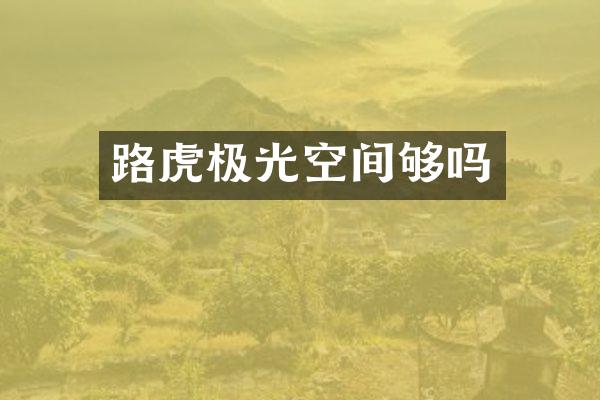 路虎极光空间够吗