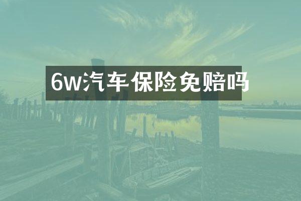 6w汽车保险免赔吗