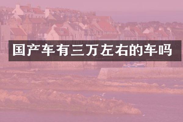 国产车有三万左右的车吗