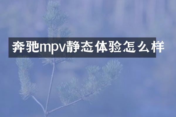 奔驰mpv静态体验怎么样