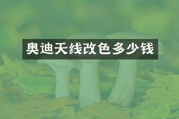 奥迪天线改色多少钱