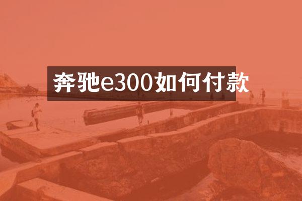 奔驰e300如何付款