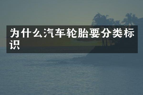为什么汽车轮胎要分类标识