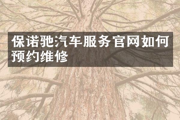 保诺驰汽车服务官网如何预约维修