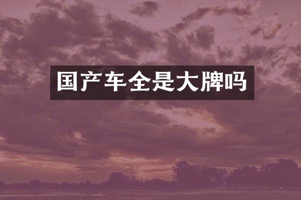国产车全是大牌吗