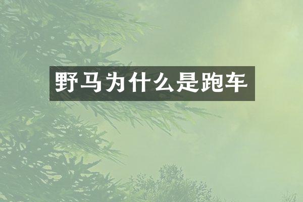 野马为什么是跑车