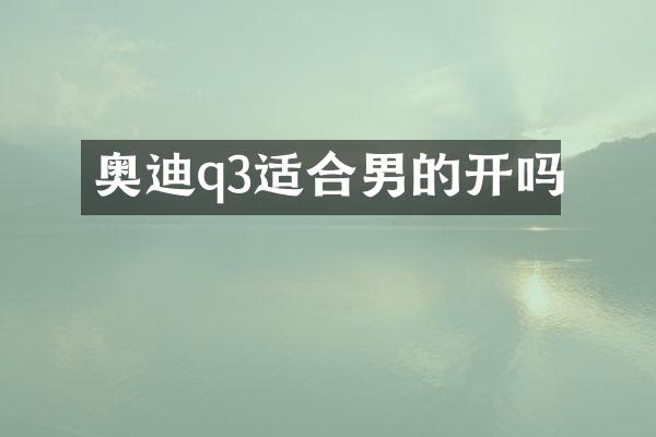 奥迪q3适合男的开吗