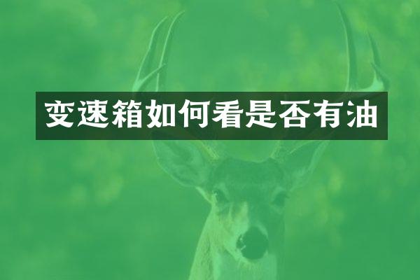 变速箱如何看是否有油