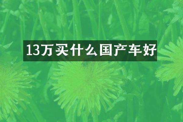 13万国产车好