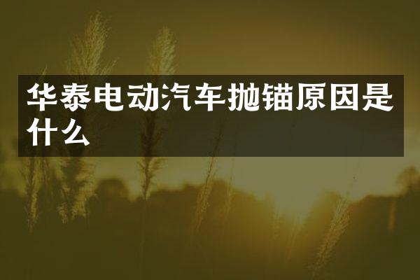 华泰电动汽车抛锚原因是什么
