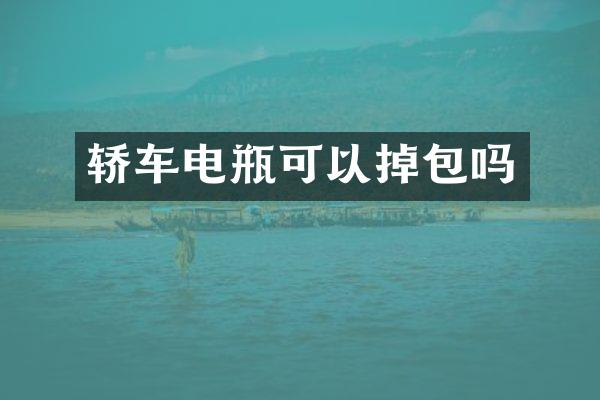 轿车电瓶可以掉包吗