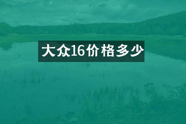 大众16价格多少
