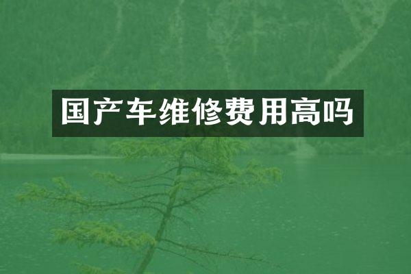 国产车维修费用高吗