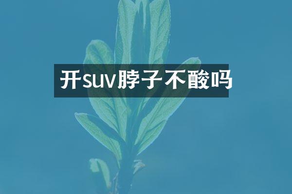 开suv脖子不酸吗