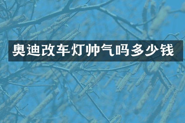 奥迪改车灯帅气吗多少钱