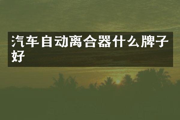 汽车自动离合器什么牌子好