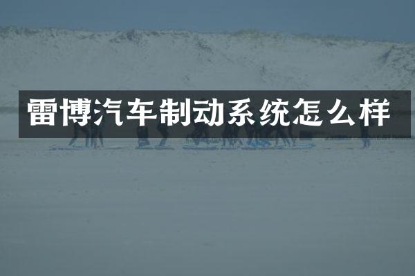 雷博汽车制动系统怎么样