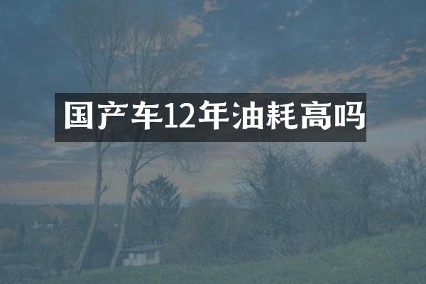 国产车12年油耗高吗