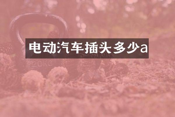 电动汽车插头多少a