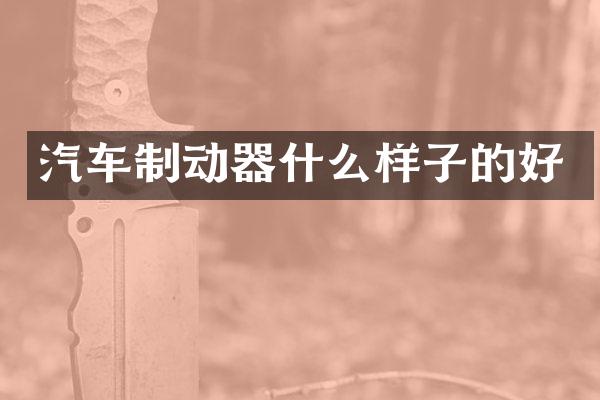 汽车制动器什么样子的好