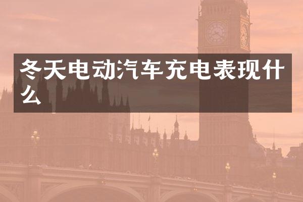 冬天电动汽车充电表现什么