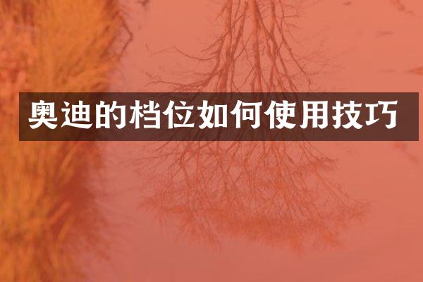 奥迪的档位如何使用技巧