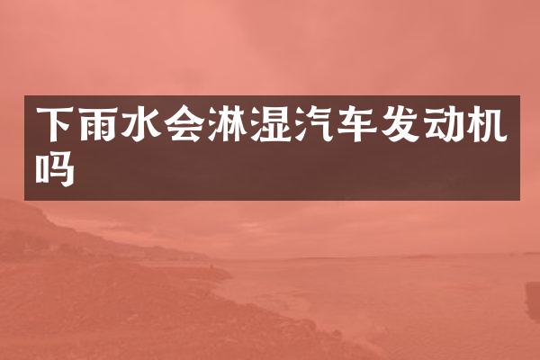 下雨水会淋湿汽车发动机吗