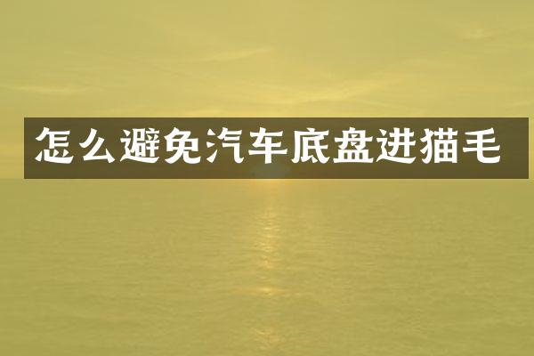 怎么避免汽车底盘进猫毛