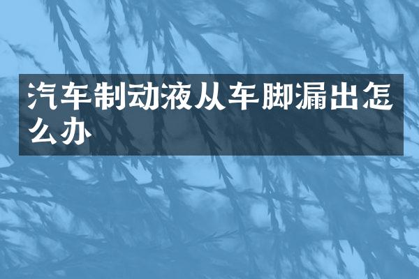 汽车制动液从车脚漏出怎么办