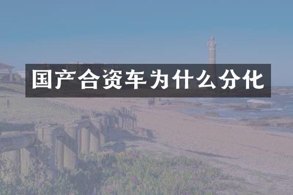 国产合资车为什么分化